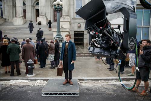 Fantastic Beasts and Where to Find Them Fantastic Beasts and Where to Find Them FB-BTS-00421A