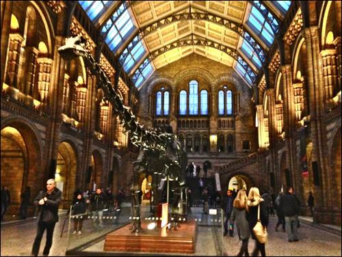 Natural History Museum London Mums magazine