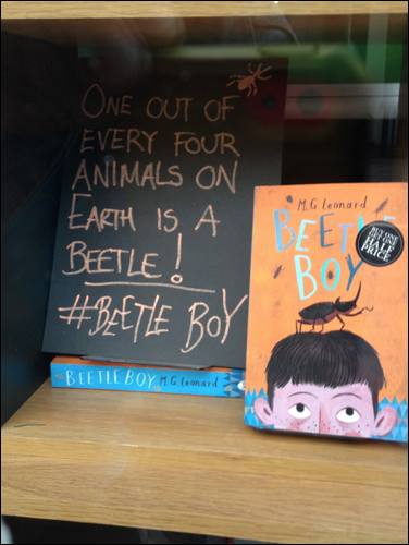 book beetle boy