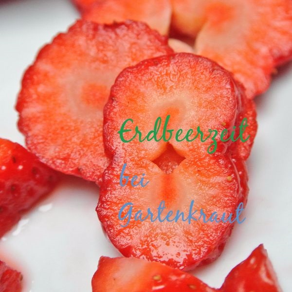 strawberry recipe Erdbeere