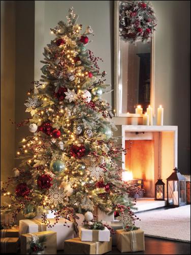 decorated-christmas-tree-bc-front-cover