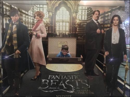 fantastic-beasts-screening-diego-3-photo