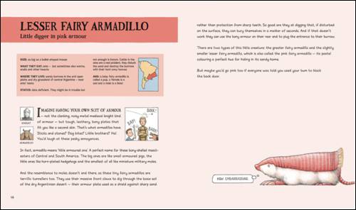 lesser-fairy-armadillo-spread