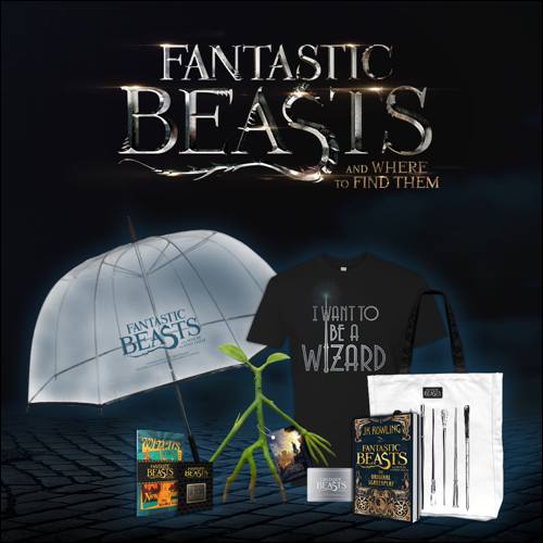 comp-fantastic-beasts_merch_1x1_withscreenplay