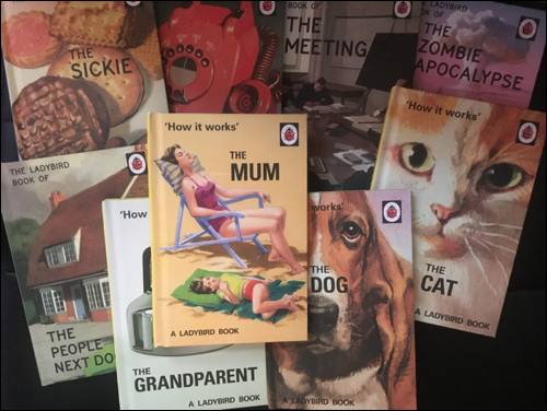 ladybird-books-for-grown-ups