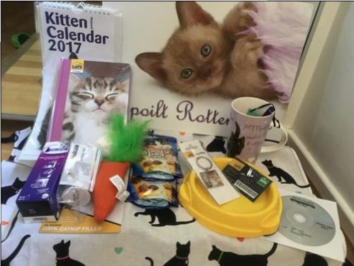 nine-lives-cats-protection-hamper-2f5876cc41519183-photo