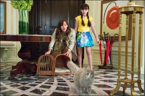 nine-lives-film-2016-02