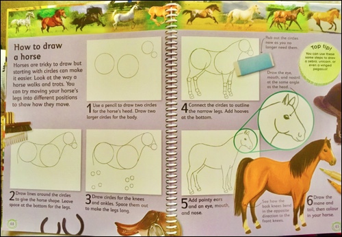 how to draw 1 -photo-full