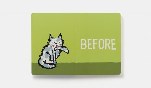 book before & after cat 1