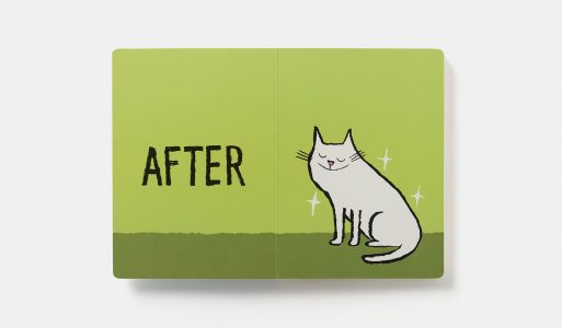 book before & after cat 2
