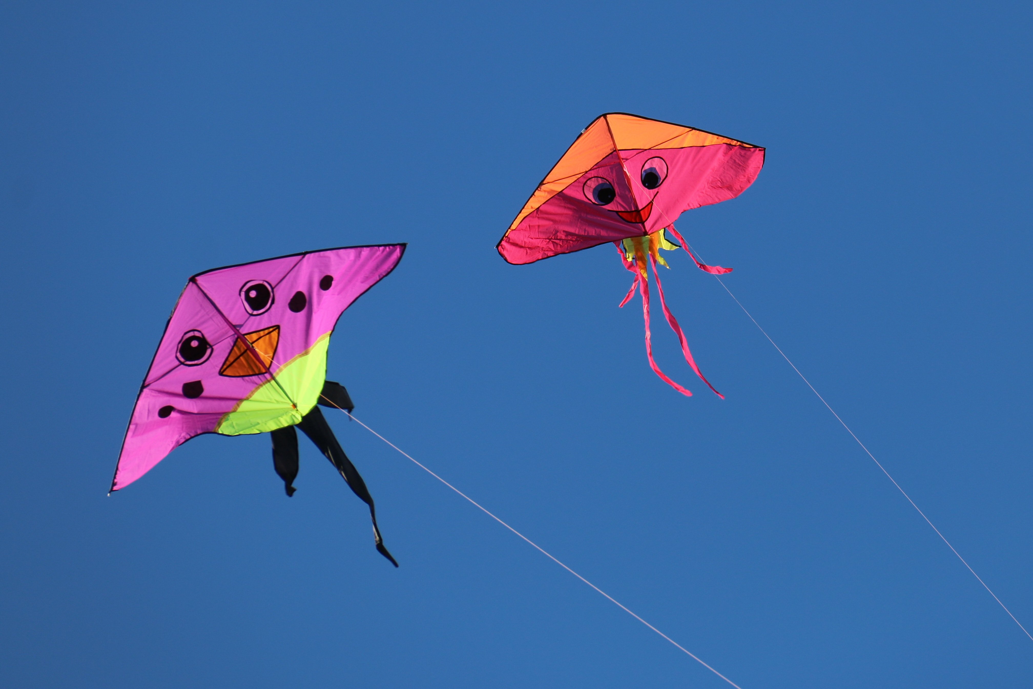 kites