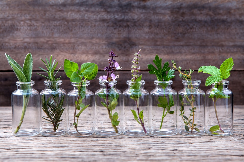The-History-And-Benefits-Of-Essential-Oils