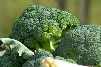 vegetables broccoli