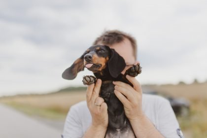 Adopt a Dog