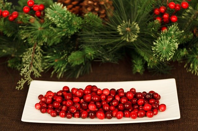 cranberries christmas