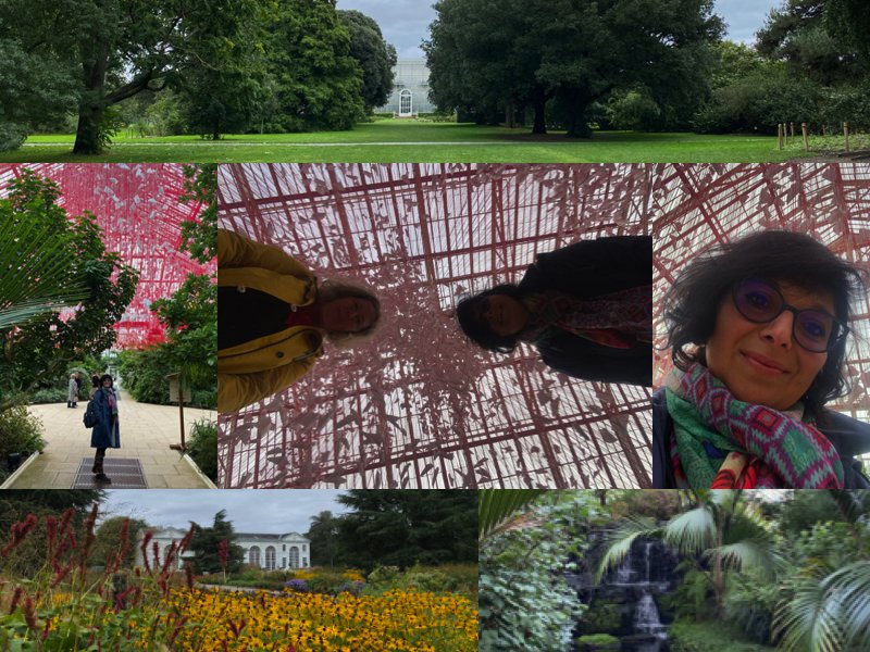 Japan Festival Kew Gardens 