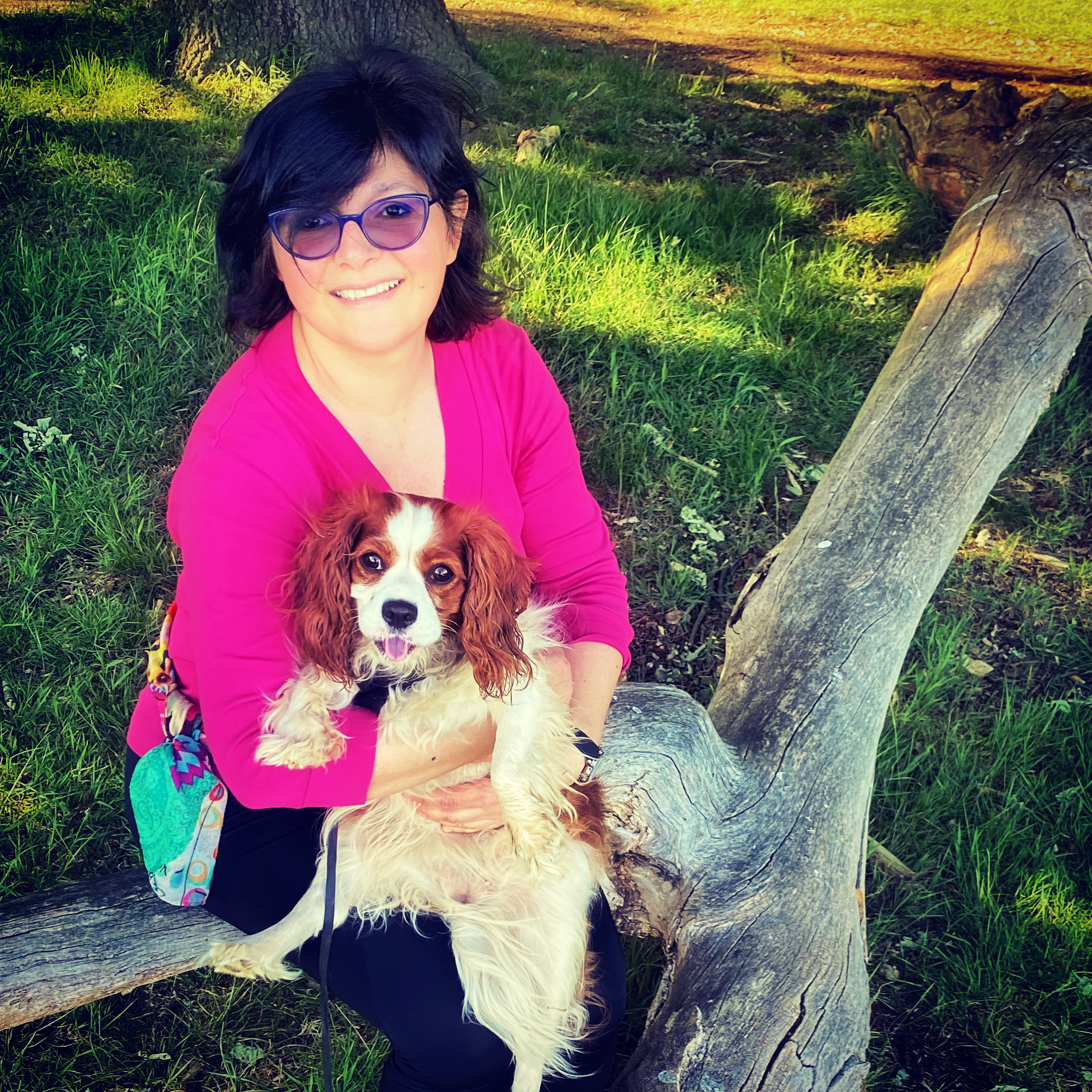 Monica & kinmg charles cavalier dog Biscuit in Richmond Park