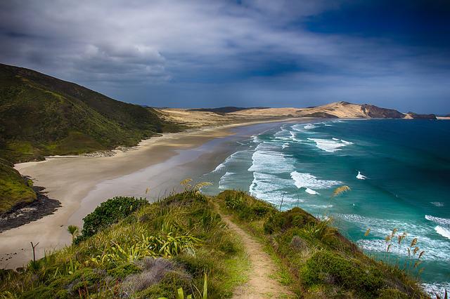 coast landscape in new zealand 