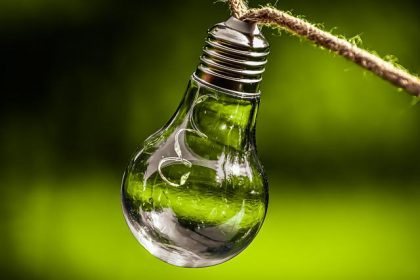 Lightbulb in green background for green living ideas