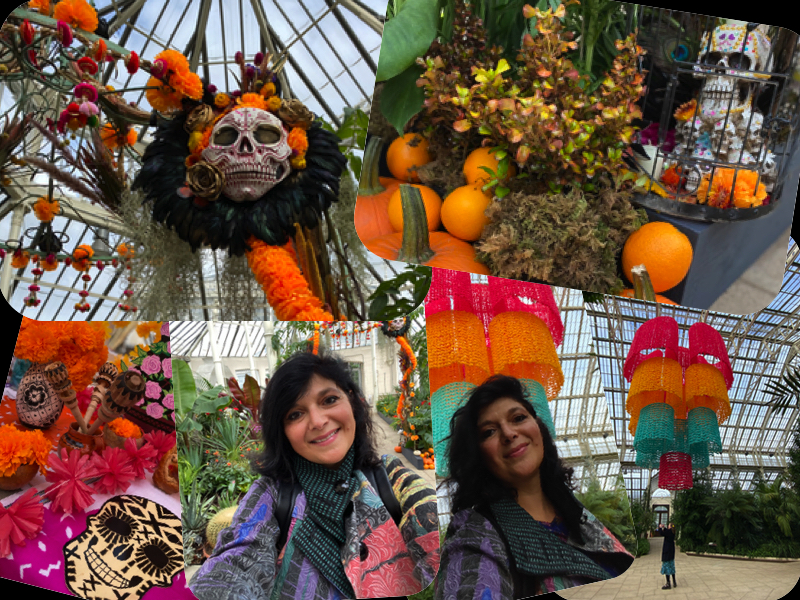 Collage of colourful flower installation at Kew Gardens Mexico Festival event