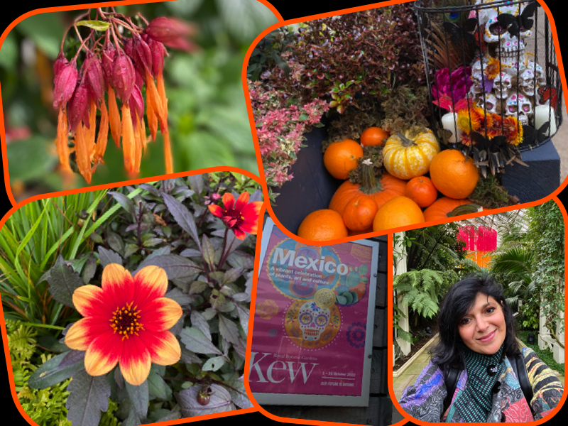 Collage of orange and red flowers and installation at Kew Gardens Mexico Festival event