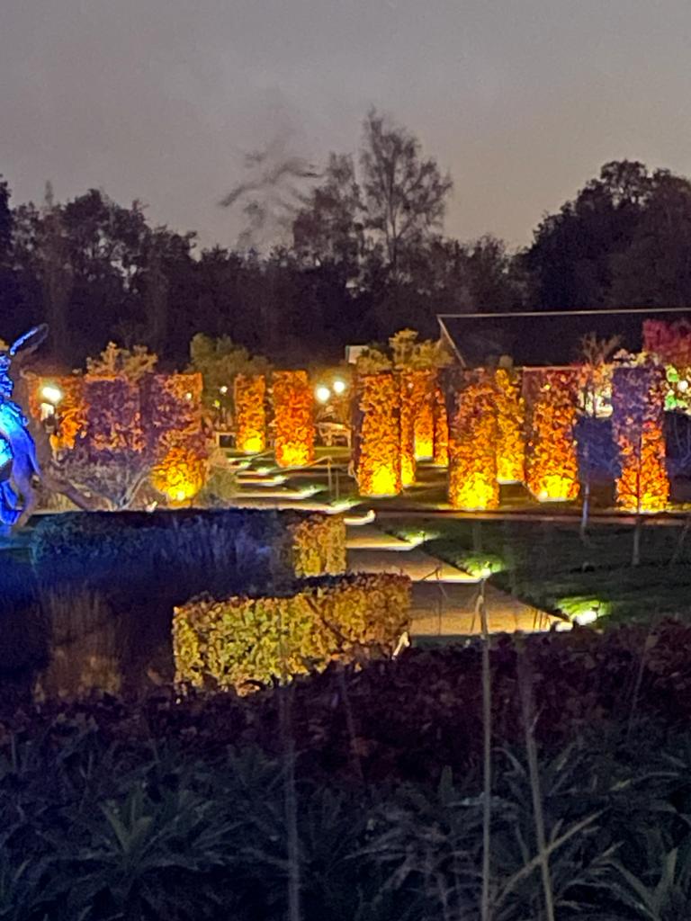 The Christmas lights walk at RHS Garden Wisley