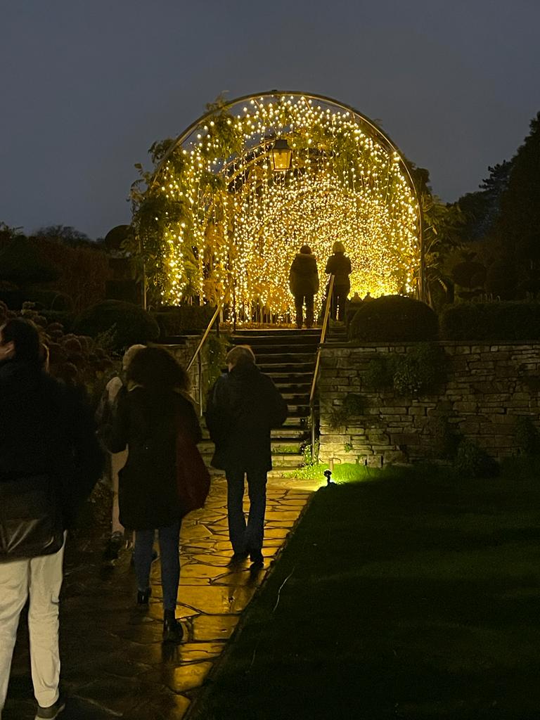 colourful fairy lights at the Christmas glow walk at RHS Garden Wisley 