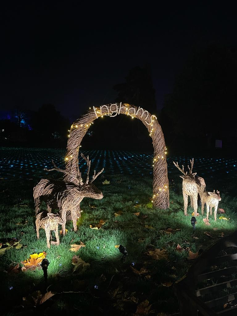 colourful fairy lights at the Christmas glow walk at RHS Garden Wisley 