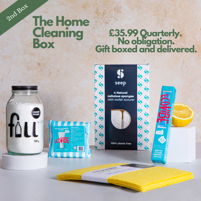 products for cleaning the house 