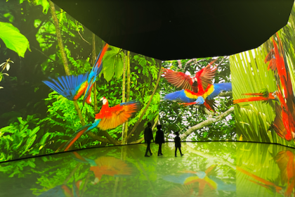 BBC earth experience room