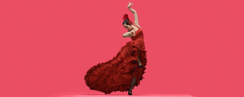 flamenco festival cover image