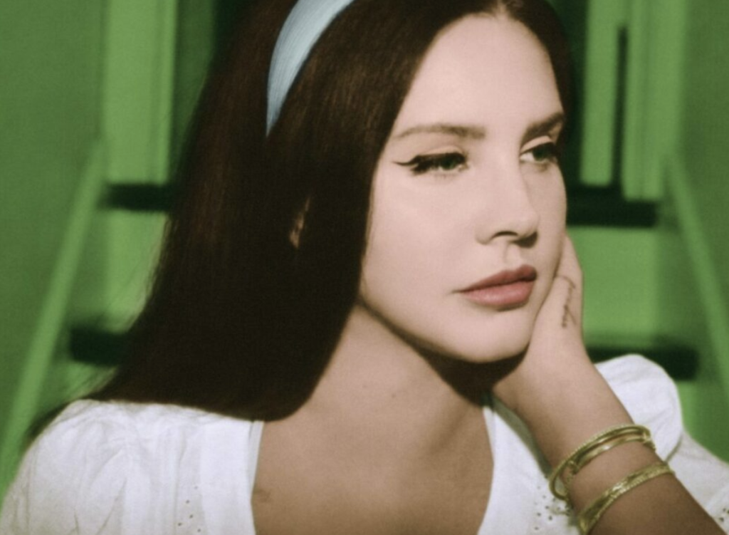 Lana del Rey gig collage