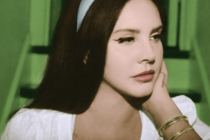 Lana del Rey gig collage