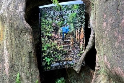 book promo 3 secrets