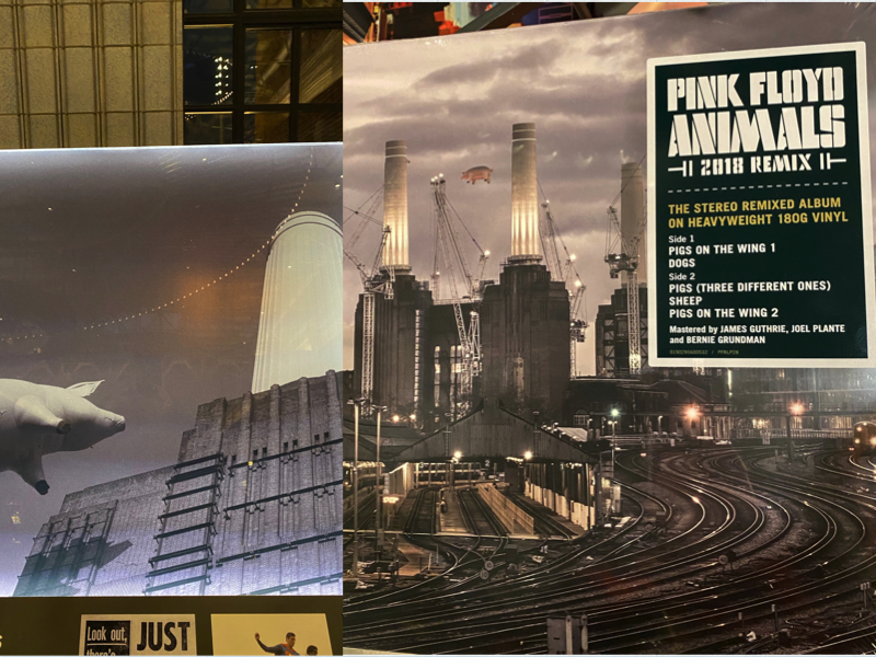 pink floyd animals album flying pig collage