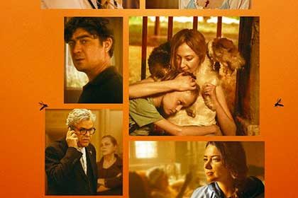 te l'avevo detto - i told you so film poster