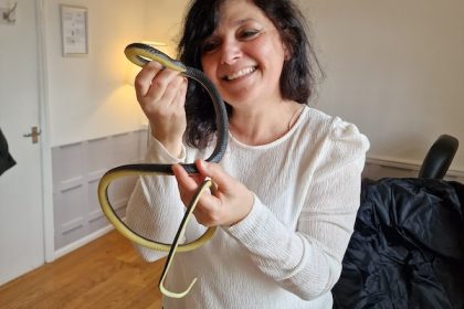 fear of snakes phobia doctor monica costa