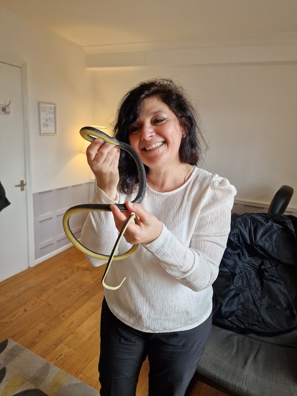 fear of snakes phobia doctor monica costa