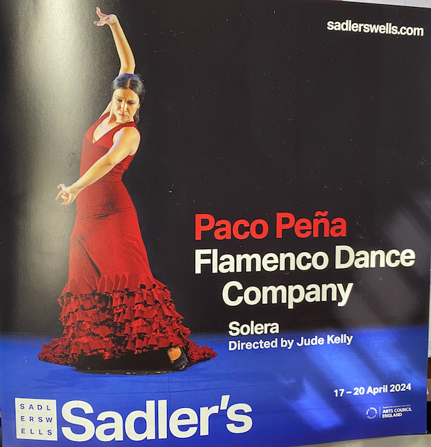 solera show woman dancing flamenco for the brochure