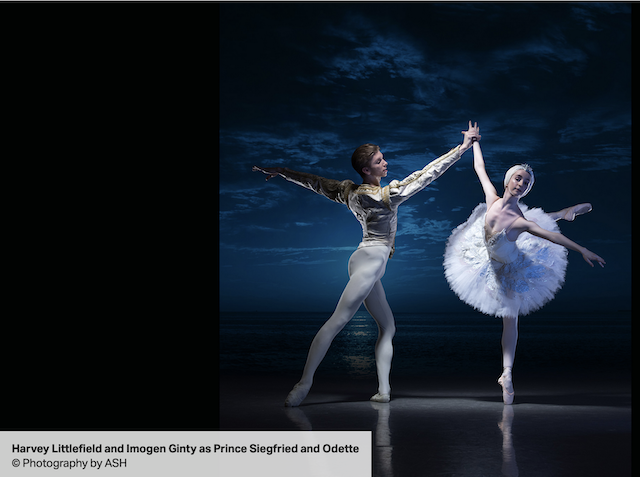 swan lake peacock theatre dancers 