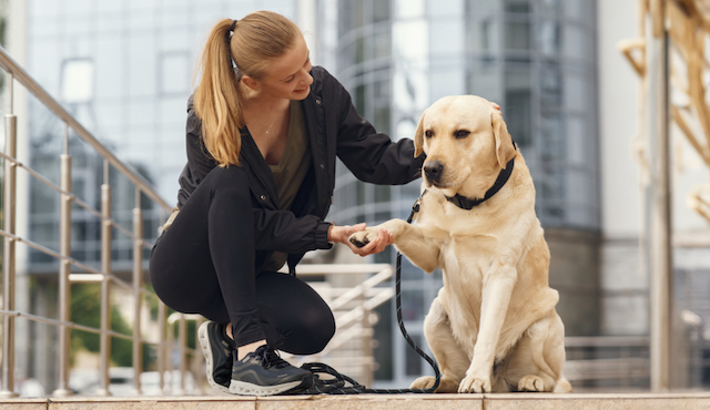 Air Plush Women's Lightweight Athletic Sneakers