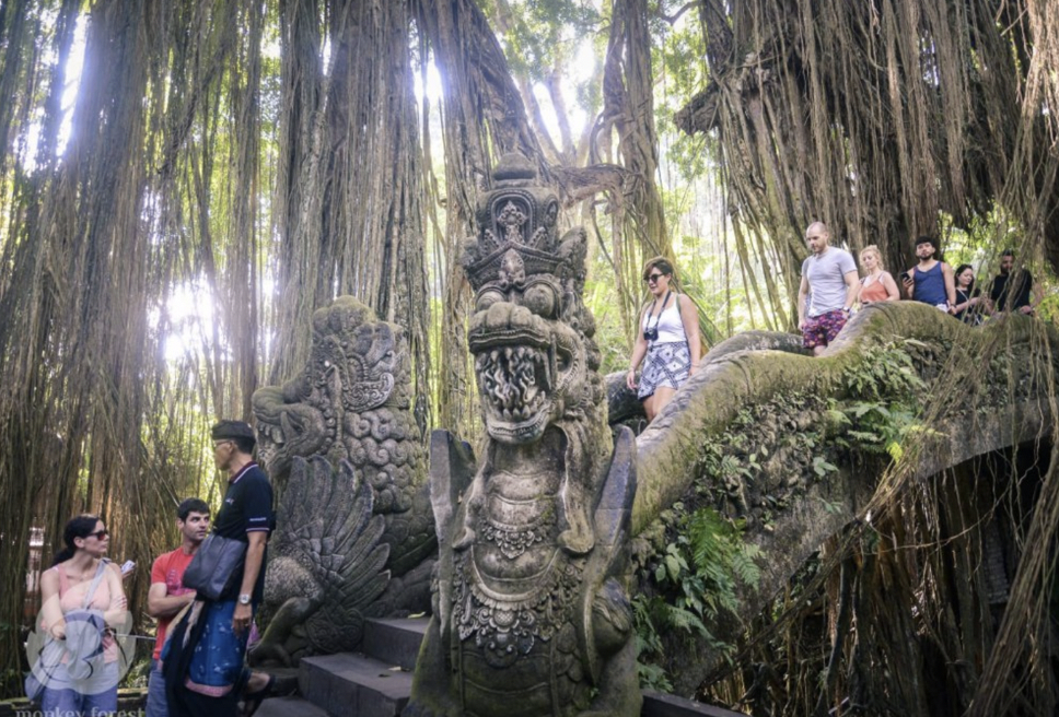 money forest, Ubud's Monkey Forest