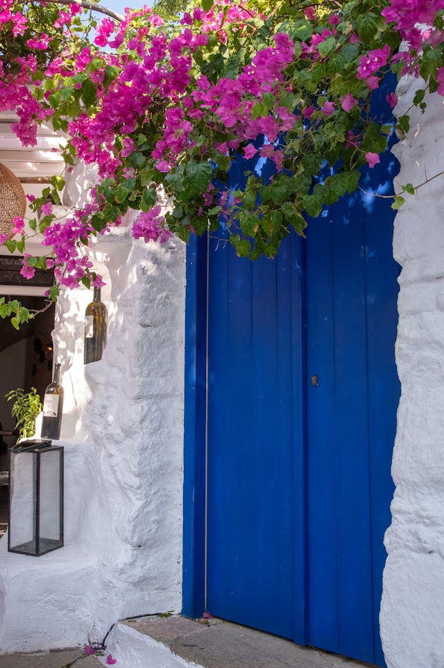 blue door