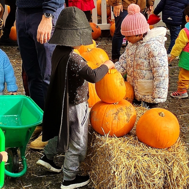 Families can enjoy a free pumpkin patch in Richmond town centre on Saturday 26th October PIC Be Richmond