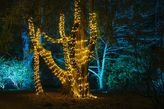 The Fulham Palace Festive Light Display
