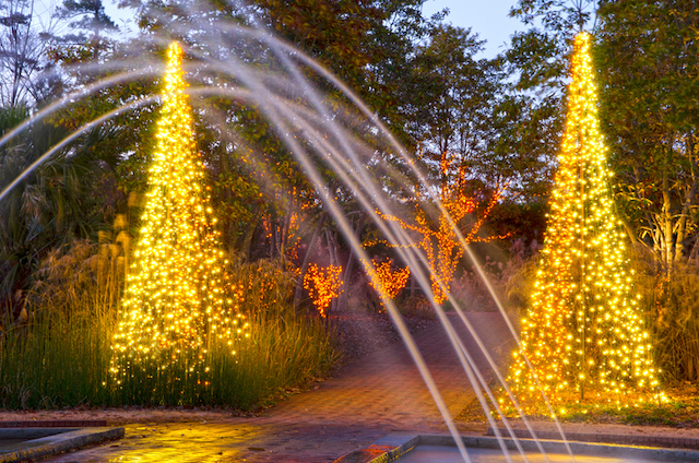The Fulham Palace Festive Light Display