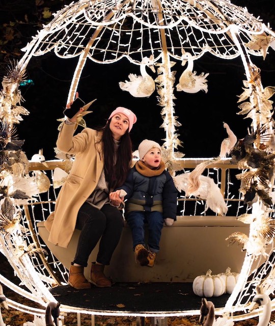 The Fulham Palace Festive Light Display