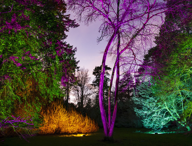 The Fulham Palace Festive Light Display