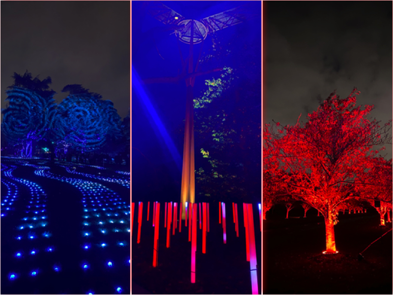 christmas at kew
