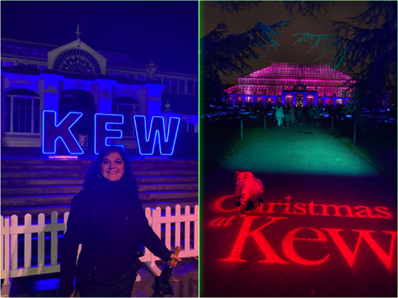 christmas at kew